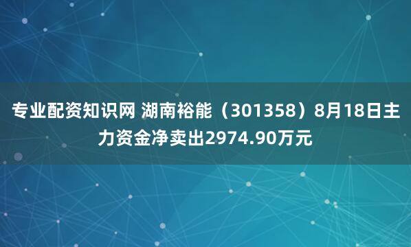 专业配资知识网 湖南裕能（301358）8月18日主力资金净卖出2974.90万元